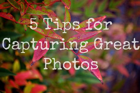 5 Tips For Capturing Great Photos