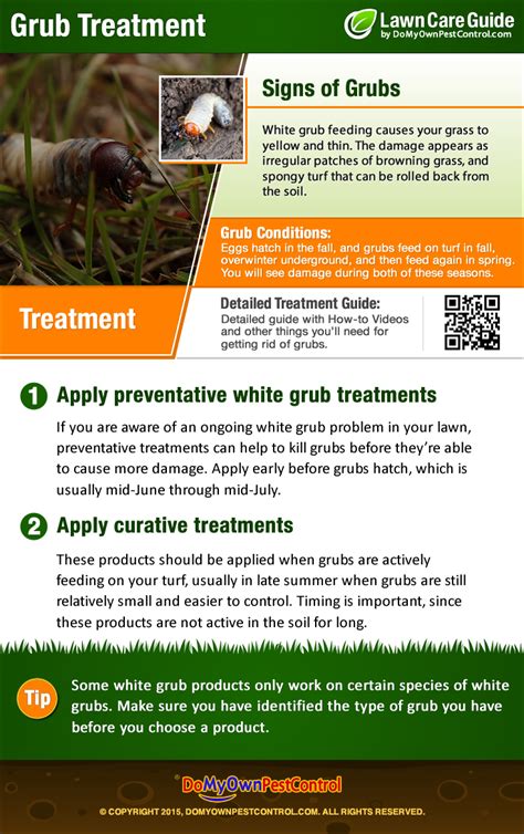 How To Get Rid Of Grubs In Lawn Grub Control And Treatment