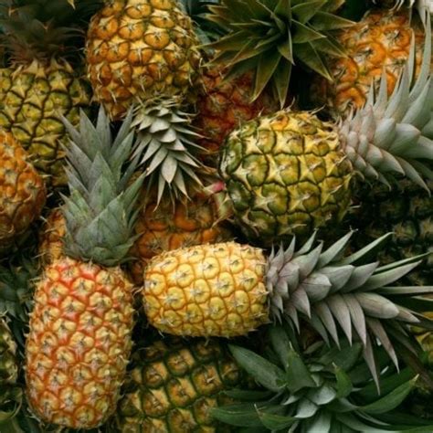 How To Ripen A Pineapple Quick And Easy Tips The Kitchen Community