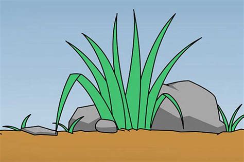 How To Draw Grass Realistic Simple Easy And Fun