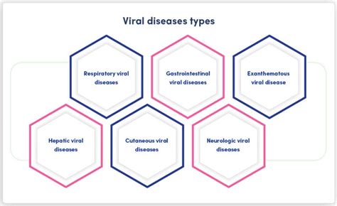 What Are Viral Diseases And How To Avoid Them Jp Medicals