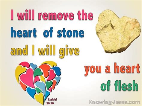 4 Bible Verses About Heart Renewed