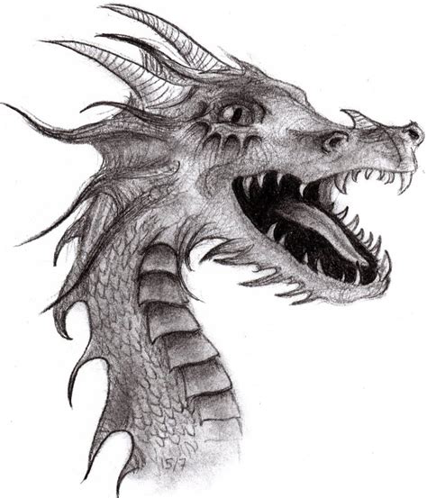 Pencil Drawing Cool Dragons Clip Art Library