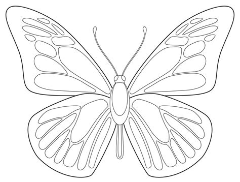 How To Draw A Butterfly How To Draw A Butterfly