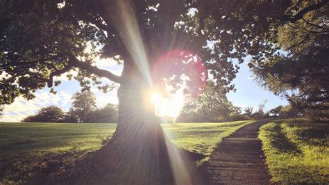 Barnett Demesne Walking And Hiking In Co Antrim Discover Northern Ireland