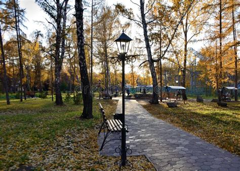 Autumn Stock Image Image Of Omsk Path Autumn Bench 105234557