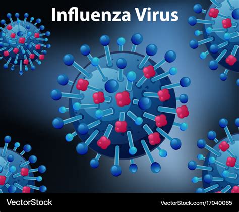 Close Up Diagram For Influenza Virus Royalty Free Vector