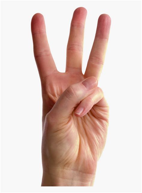 Three Fingers Transparent Images Download Hand Holding Up 3 Fingers