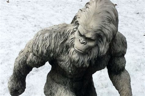 Abominable Snowman Nope Yetis Are Just Bears