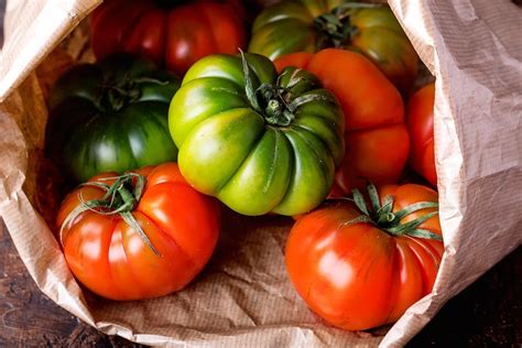 4 Easy Ways To Ripen Green Tomatoes Indoors Farmers Almanac Plan