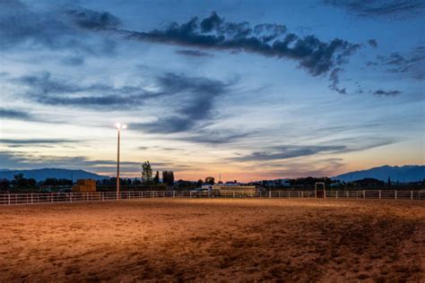 Rodeo Stock Photos Pictures And Royalty Free Images Istock