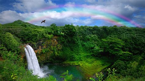 Rainbow Over Hawaiian Waterfall Hd Wallpaper Background