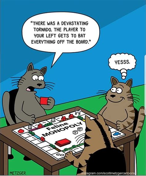 pin by sandy ayres on cats furry rulers of the world with images cat jokes funny cats cat