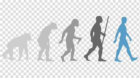 Free Download Group Of People Evolution Human Evolution Wall Decal