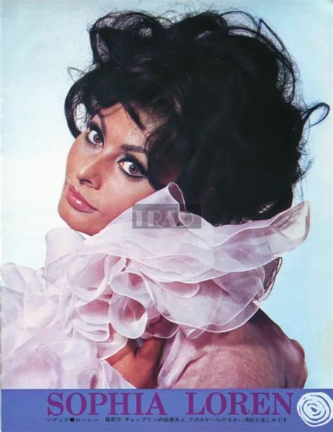 Sophia Loren Brigitte Bardot 1967 Vintage Japan Picture Clipping 8x10