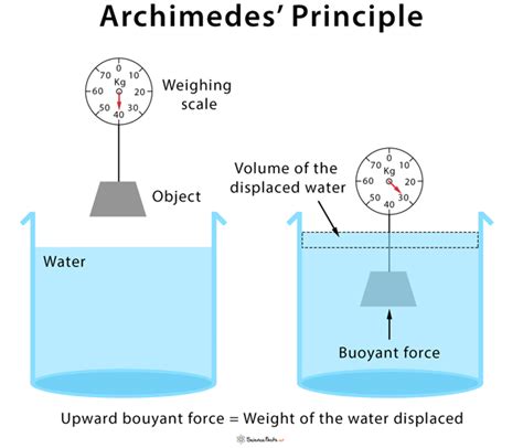 Archimedes Principle Notes Ncert Solutions For Cbse Class 9 Science