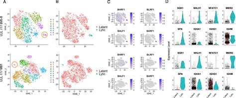 Single Cell Rna Seq Reveals Transcriptomic Heterogeneity Mediated By Hostpathogen Dynamics In