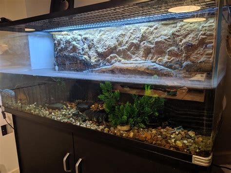 Reptile One Pro Turtle Tank Full Set Up In London For For