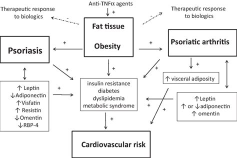 Interrelationships Between Fat Tissue Psoriasis Pso And Psoriatic Download Scientific