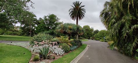 Royal Botanic Gardens Victoria And St Kilda Botanical Gardens Melbourne Visions Of Travel