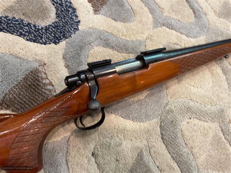 Remington 700 Adl 22 250 Cal Rifle Walnut Stock Bolt Action Rifle Great