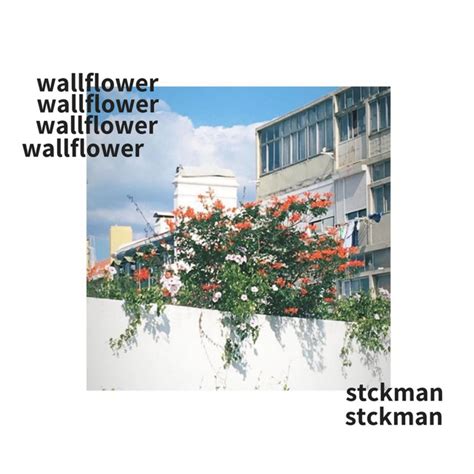 Wallflower Single By Stckman Spotify