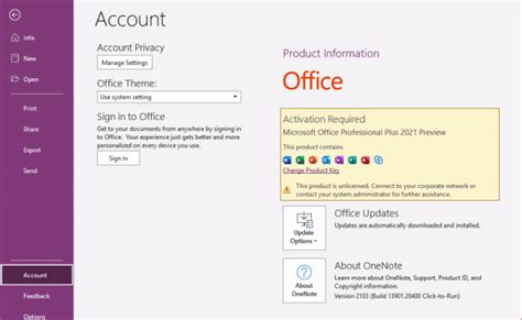 How To Install And Activate Microsoft Office Ltsc 2021 Professional