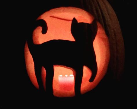 Cat Pumpkin Carving Ideas And Inspiration Photos Cat Fancast