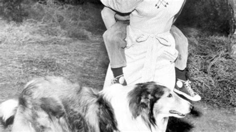 Actress Cloris Leachman With Co Stars Jon Provost And Lassie The Collie
