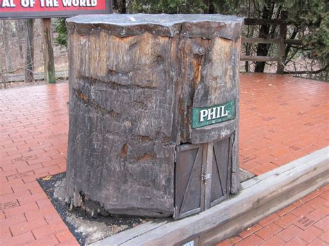 Punxsutawney Phil’s stump at Gobbler’s Knob