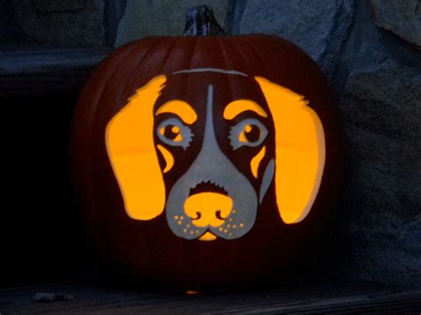 Beagle Jack O Lantern 4000 Via Etsy Handmade Dog Collars