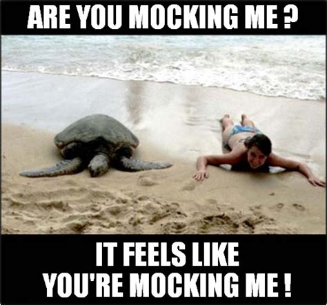 A Mocked Turtle Imgflip