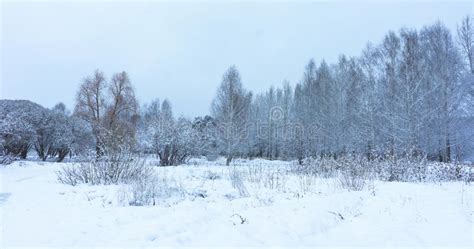 Winter Park In Snow Stock Image Image Of Christmas 148360229