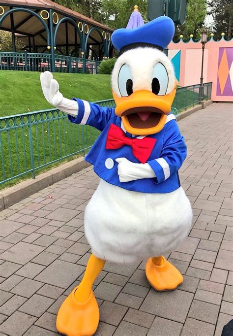 Dancing Donald Cute Disney Pictures Donald Duck Characters Disney