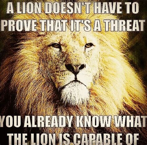 A Lion Doesnt Have To Prove Hes A Threat You Already Know What Hes