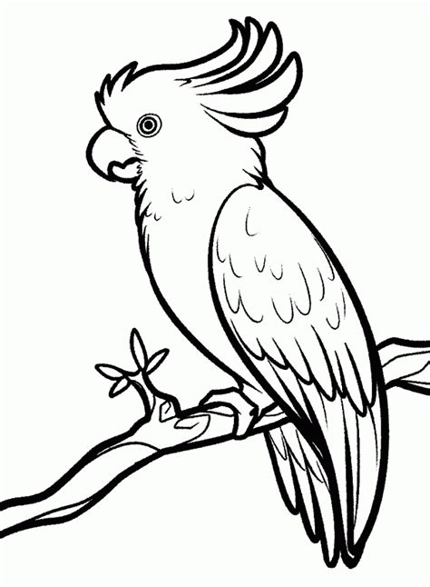 Di artikel ini saya akan membagikan kumpulan sketsa gambar burung lengkap berbagai jenis dari. Gambar Sketsa Hewan yang Lucu dan Mudah Dibuat