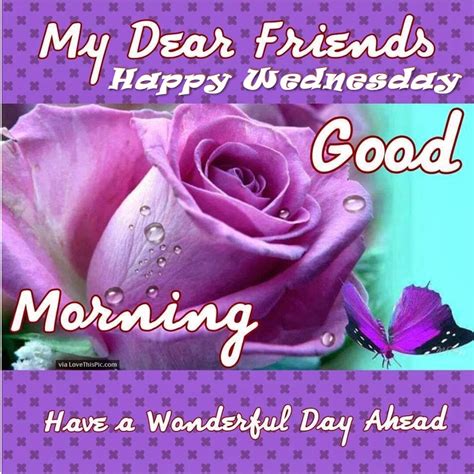 Good Morning Happy Wednesday My Dear Friends Pictures Photos And