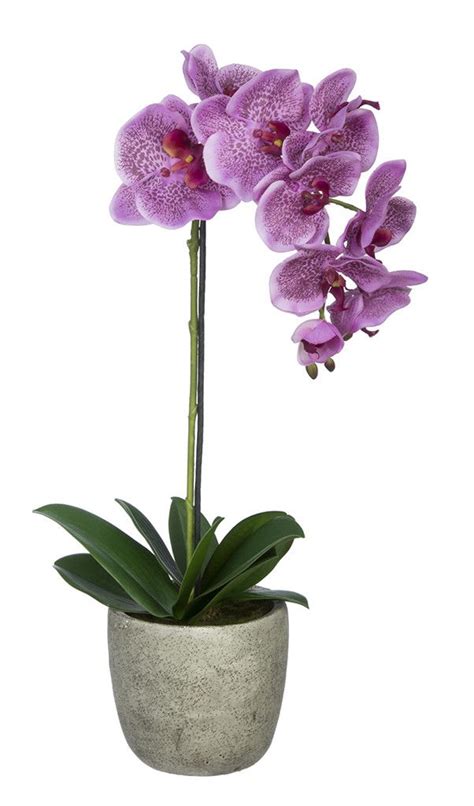 Artificial Single Stem Orchid In Grey Stone Look Vase Орхидея