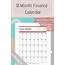 12 Month Finance Calendar PDF Available In Various Colors 
