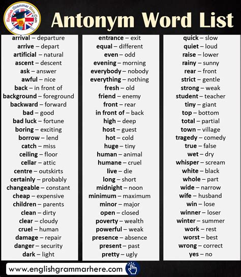 Antonym Word List In English With Images Antonyms Words List