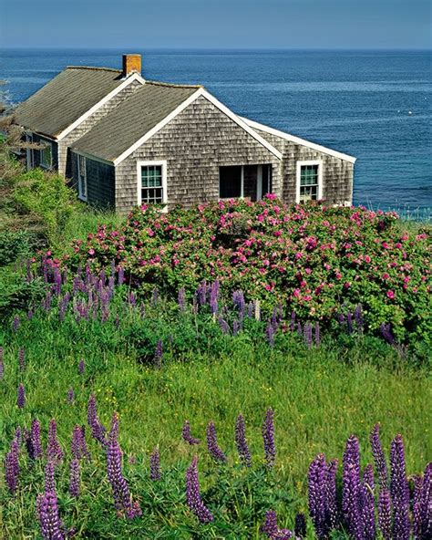 Cottage By The Sea Maine Cottage By The Sea Monhegan Island Maine