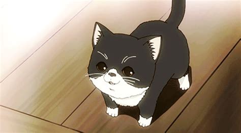25 Best Cats In Anime The Ultimate Feline List Fandomspot
