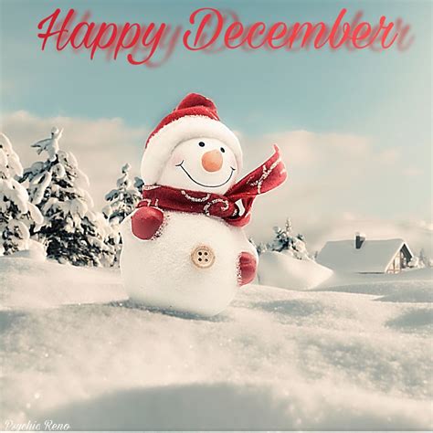 Happy December | Happy december, Holiday, December