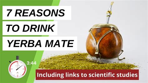 Health Benefits Of Yerba Mate 7 Reasons To Drink Yerba Mate Youtube
