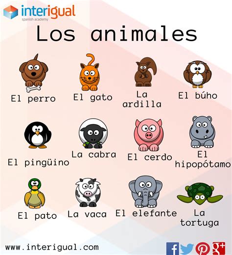 Los animales en español/ The animals in spanish | Learning spanish, Teaching spanish, Spanish ...