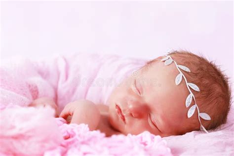 Cute Newborn Baby Girl Sleeping Stock Image Image Of Cute Basket