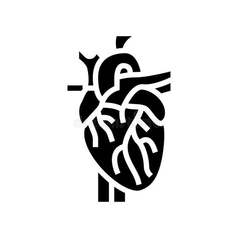 Heart Organ Glyph Icon Vector Illustration Stock Vector Illustration