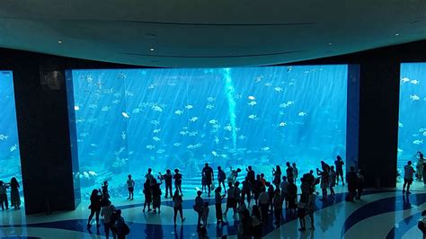 Sanya Atlantis Aquarium Resort Lobby Youtube