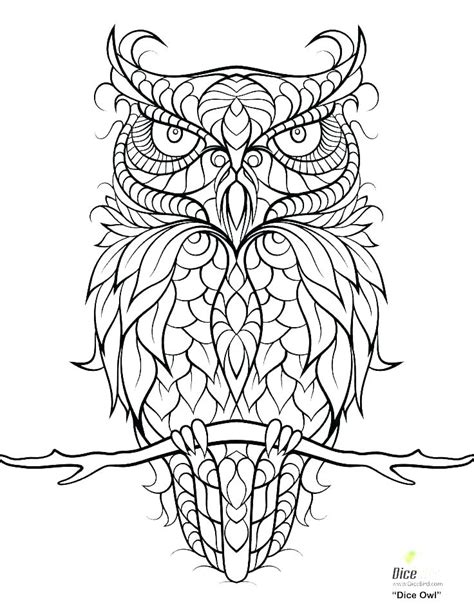 Snowy Owl Coloring Page At Free Printable Colorings