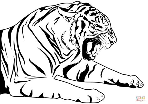 Detail Ausmalbild Tigerbaby Koleksi Nomer